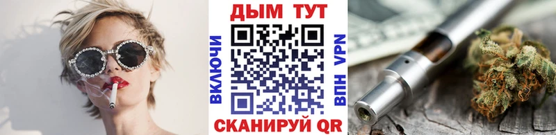 Конопля сатива  где найти   Новое Девяткино 